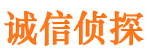 长洲市私家侦探